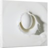 Egg splashing in milk by Anonymous
