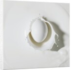 Egg splashing in milk by Anonymous