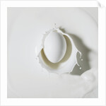 Egg splashing in milk by Anonymous