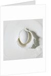 Egg splashing in milk by Anonymous