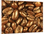 Beaned by Nathan Griffith