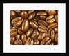 Beaned by Nathan Griffith