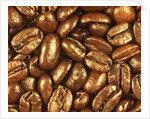 Beaned by Nathan Griffith
