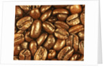 Beaned by Nathan Griffith