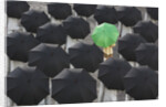 Green umbrella among group of black by Anonymous