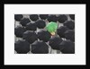 Green umbrella among group of black by Anonymous