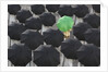 Green umbrella among group of black by Anonymous