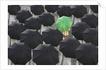 Green umbrella among group of black by Anonymous