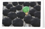 Green umbrella among group of black by Anonymous