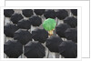 Green umbrella among group of black by Anonymous