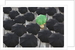 Green umbrella among group of black by Anonymous