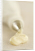 Piping Bag and Custard by Anonymous