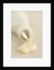 Piping Bag and Custard by Anonymous