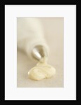 Piping Bag and Custard by Anonymous