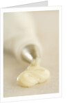 Piping Bag and Custard by Anonymous