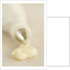 Piping Bag and Custard by Anonymous