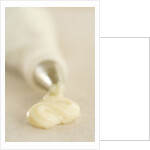 Piping Bag and Custard by Anonymous
