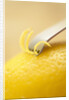 Lemon Zester on Lemon by Anonymous
