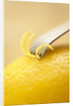 Lemon Zester on Lemon by Anonymous