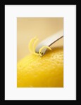 Lemon Zester on Lemon by Anonymous