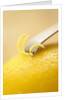 Lemon Zester on Lemon by Anonymous
