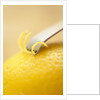 Lemon Zester on Lemon by Anonymous