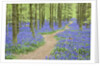 Path Winding Through Beech Forest and Bluebells by Anonymous