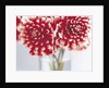 Dahlias in vase by Anonymous