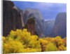 Zion National Park by Anonymous