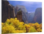 Zion National Park by Anonymous