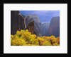 Zion National Park by Anonymous