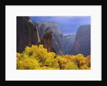 Zion National Park by Anonymous