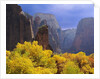 Zion National Park by Anonymous