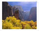 Zion National Park by Anonymous