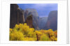 Zion National Park by Anonymous