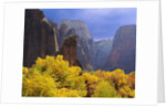 Zion National Park by Anonymous