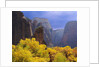 Zion National Park by Anonymous
