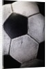 Soccer Ball by Anonymous