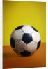 Soccer Ball by Anonymous