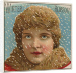 Winter Blossom Cigar Label by Anonymous