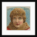 Winter Blossom Cigar Label by Anonymous