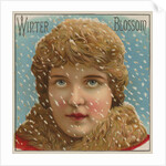 Winter Blossom Cigar Label by Anonymous