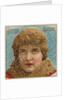 Winter Blossom Cigar Label by Anonymous