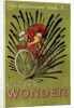 Cycles Wonder Poster by Mich