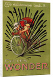 Cycles Wonder Poster by Mich