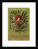 Cycles Wonder Poster by Mich