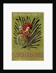 Cycles Wonder Poster by Mich