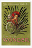 Cycles Wonder Poster by Mich