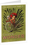 Cycles Wonder Poster by Mich