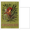 Cycles Wonder Poster by Mich